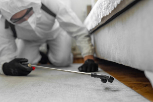 Professional Cockroach Control technician working in Inverness, IL
